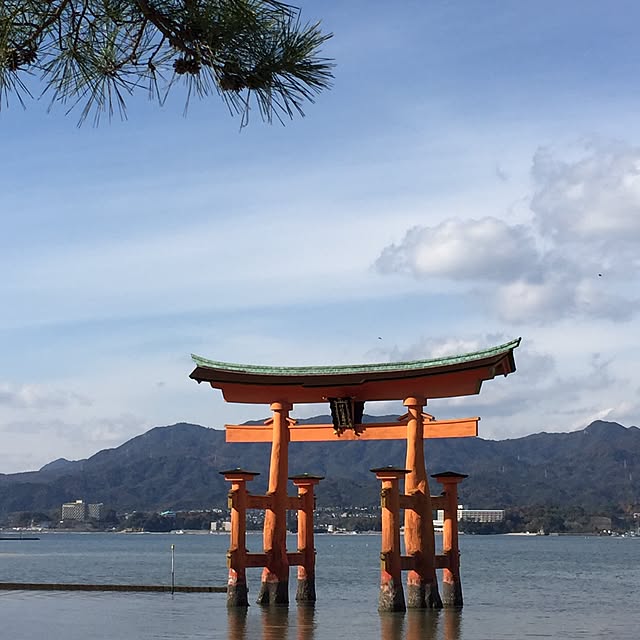 部屋全体/宮島/インテリアじゃなくてごめんなさいのインテリア実例 - 2015-12-05 17:36:31