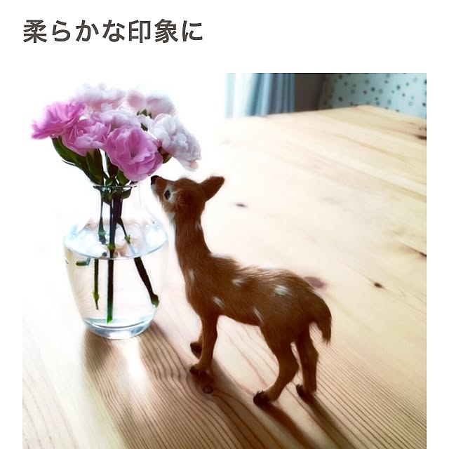 Michiさんの実例写真