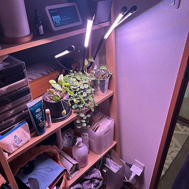 ベッド周り/寝室内の観葉植物のインテリア実例 - 2025-04-18 12:03:49