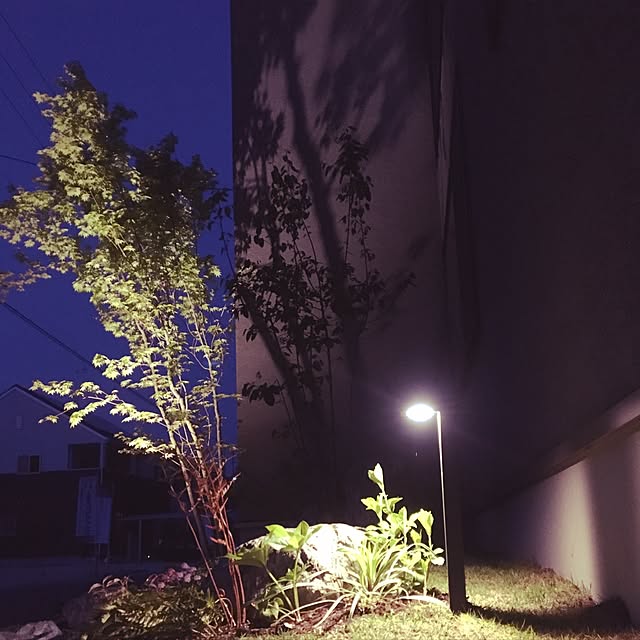 anaruさんの実例写真