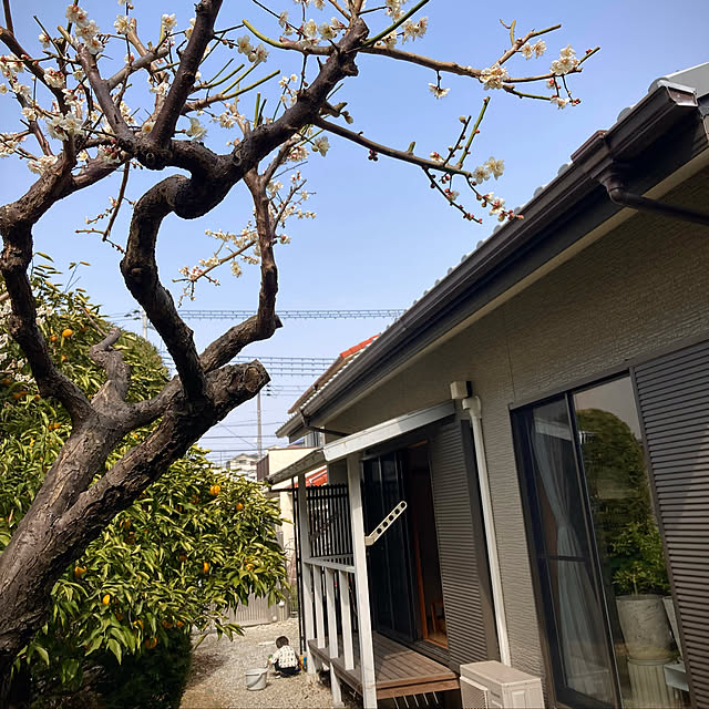 kaoriさんの実例写真