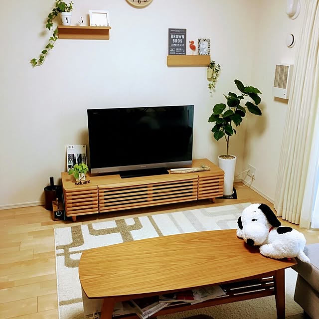 soraさんの実例写真