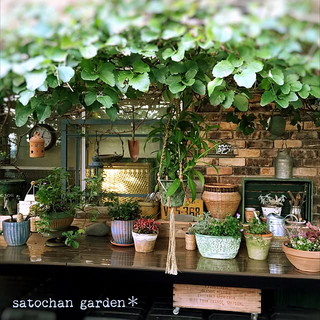 satochanさんの実例写真