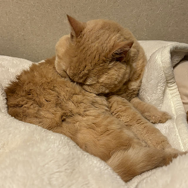 naokoさんの部屋