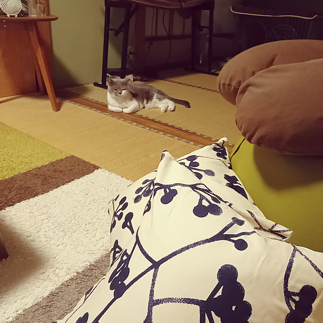 rhuさんの実例写真