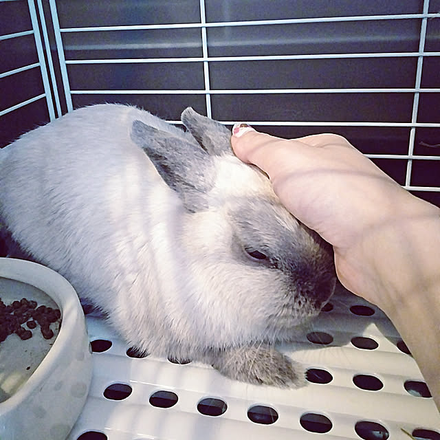 makiさんの実例写真