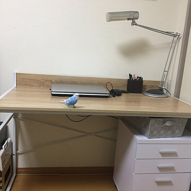 toratanさんの実例写真