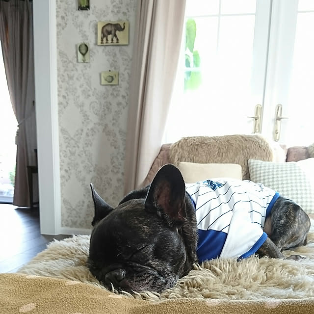 figaroさんの実例写真