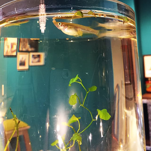 a-coさんの実例写真