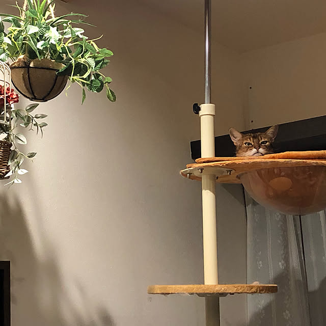 aKariさんの実例写真