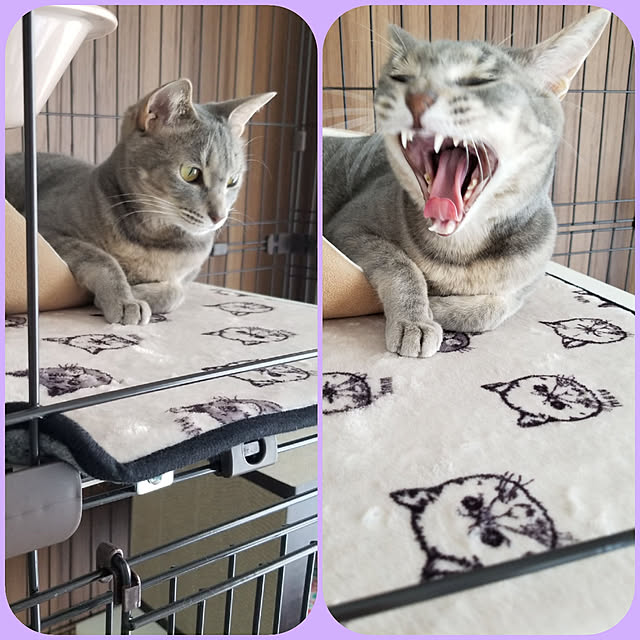 yukiさんの実例写真