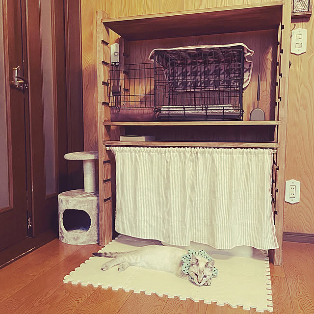 Rt_styleさんの実例写真