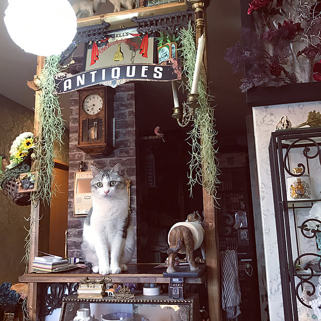emmyyさんの実例写真