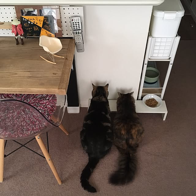 mikomaruさんの実例写真