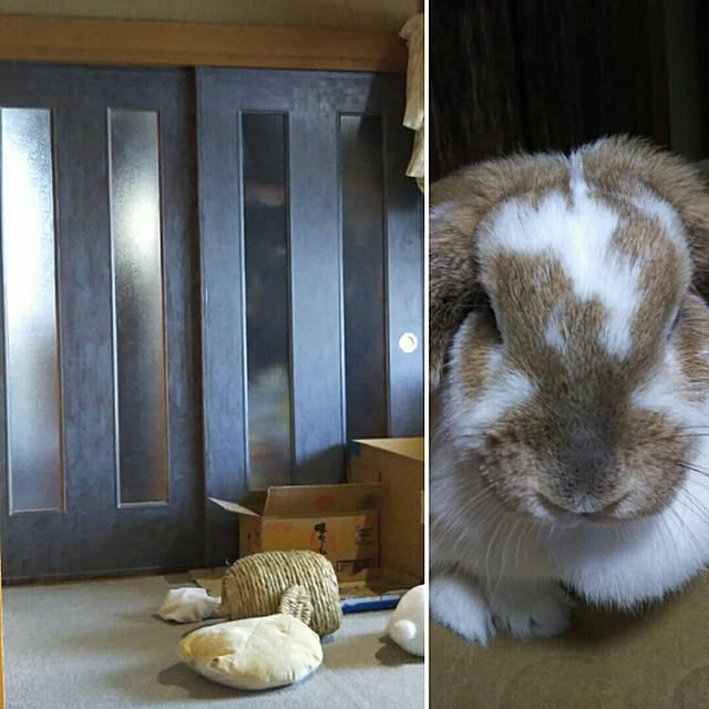 usamamaさんの実例写真