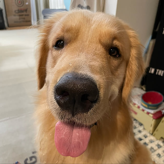 marinkoさんの実例写真