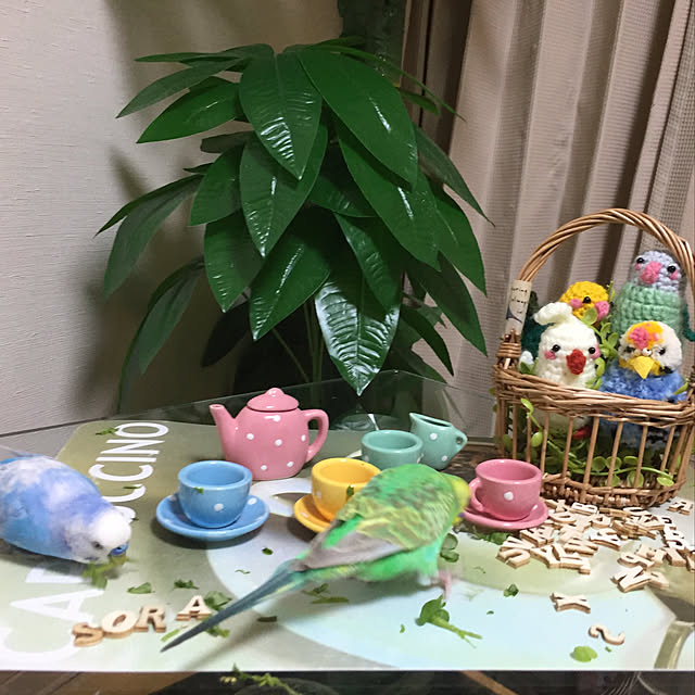toratanさんの実例写真