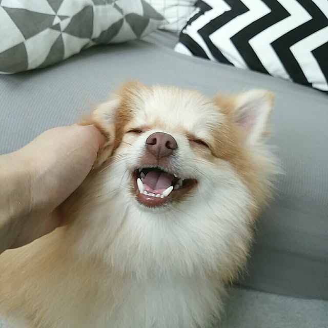 mi-さんの実例写真