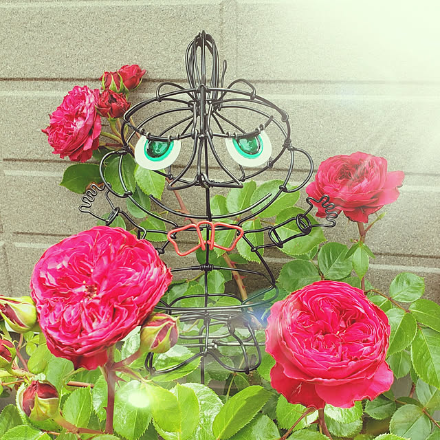 J.BOYさんの実例写真