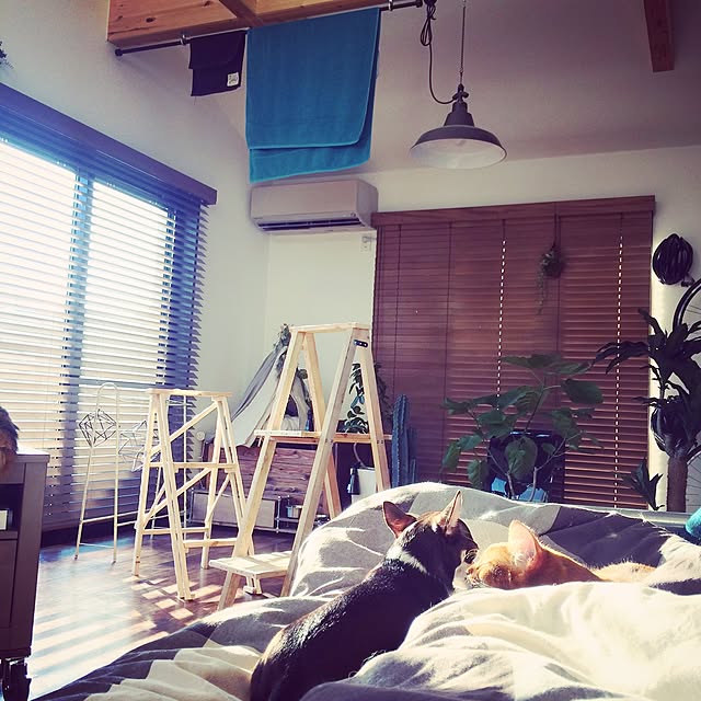 katsuwobushiさんの実例写真