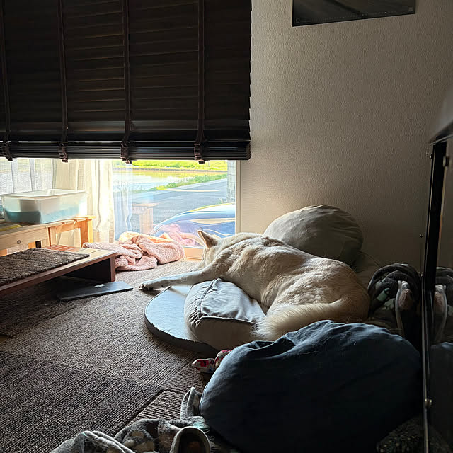 tanboさんの部屋