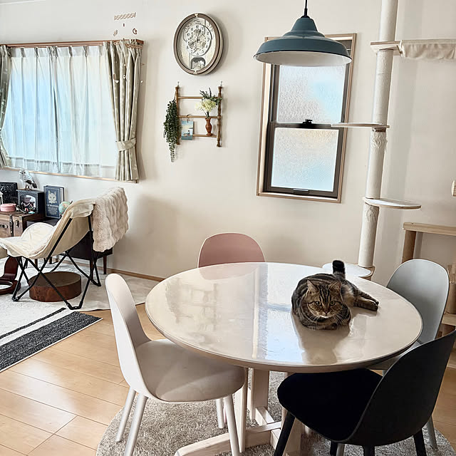 chiiさんの実例写真