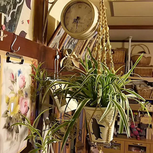 catriene0123さんの実例写真