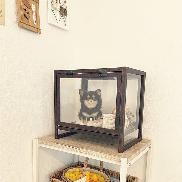 Ayaさんの実例写真