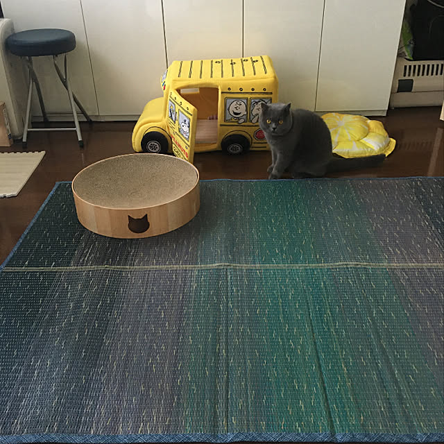 kittyさんの実例写真