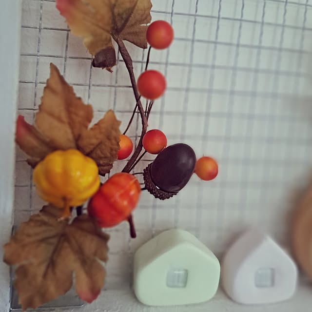 sakura_3さんの部屋