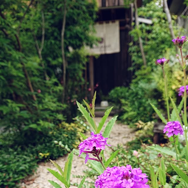 asaさんの部屋