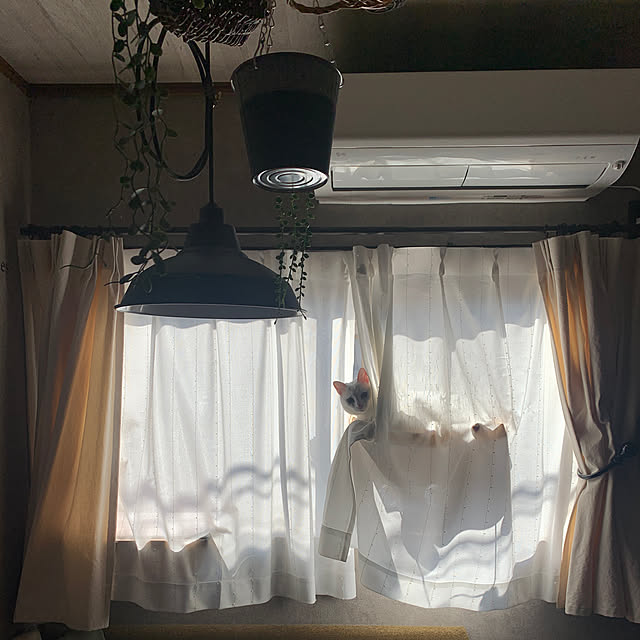 keiさんの実例写真