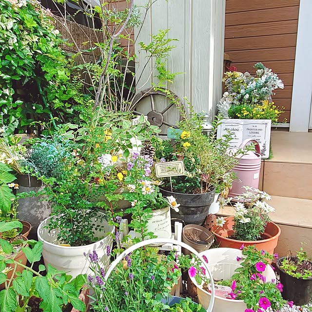 Blancheさんの部屋