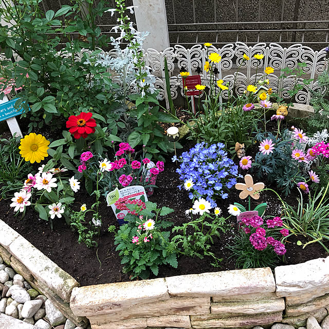 観葉植物/ガーデニング/100均/DIY/玄関/入り口のインテリア実例 - 2020-05-12 20:56:30