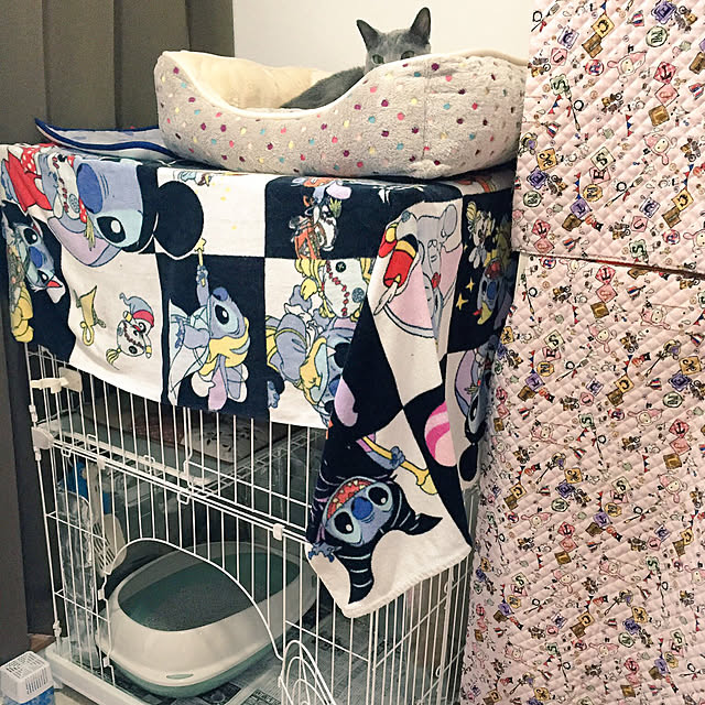 YuChumさんの実例写真