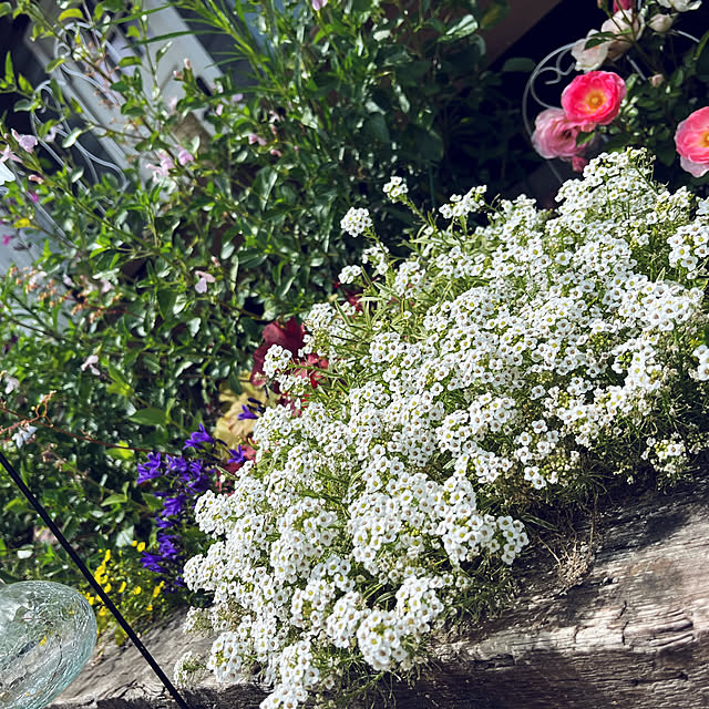 nishimiさんの部屋