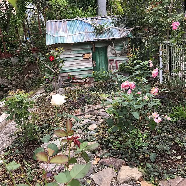 pepeさんの実例写真