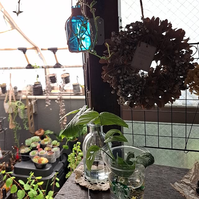 noaさんの部屋