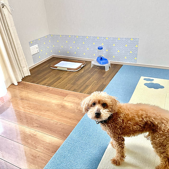 ponさんの実例写真