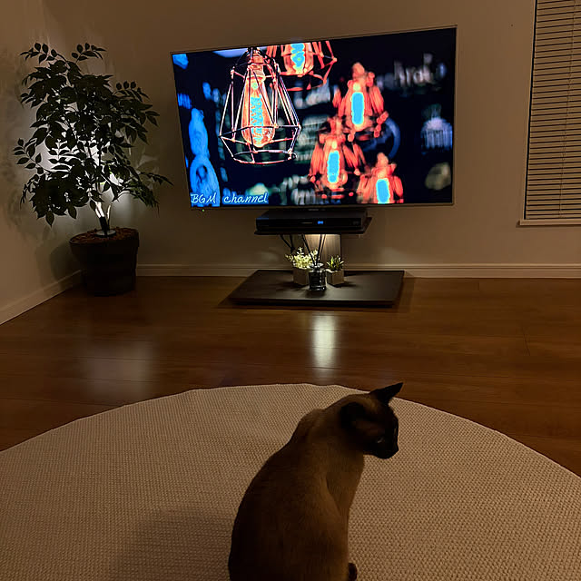 kanさんの実例写真