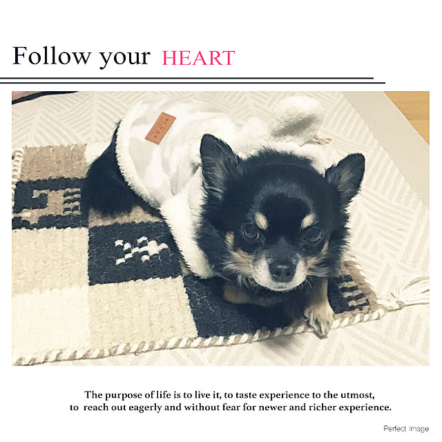 sakuさんの実例写真
