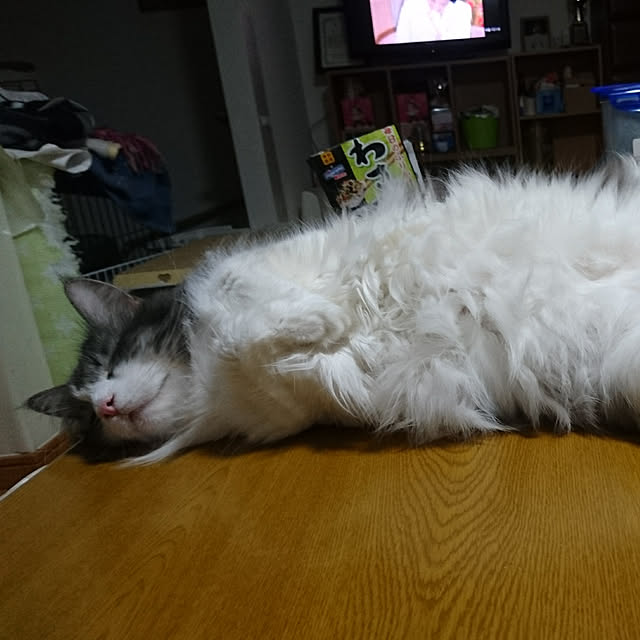 shinobuさんの実例写真