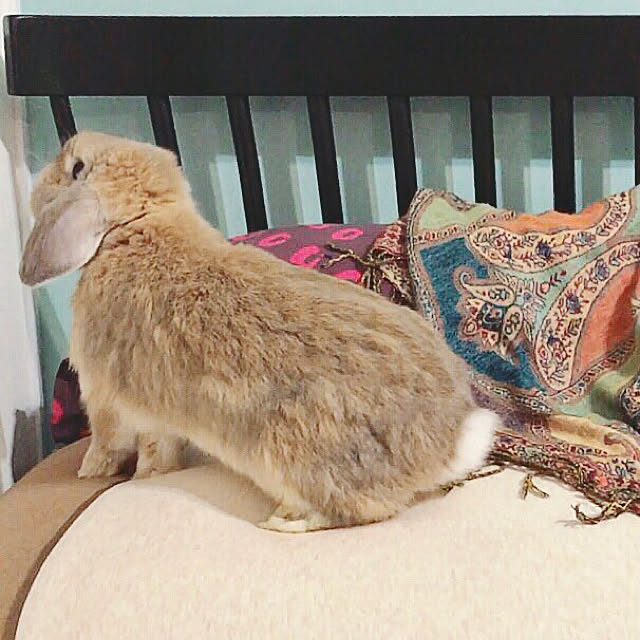 mmipさんの実例写真