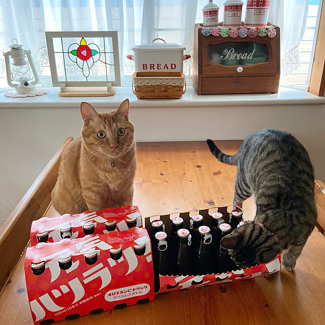 mako0301さんの実例写真