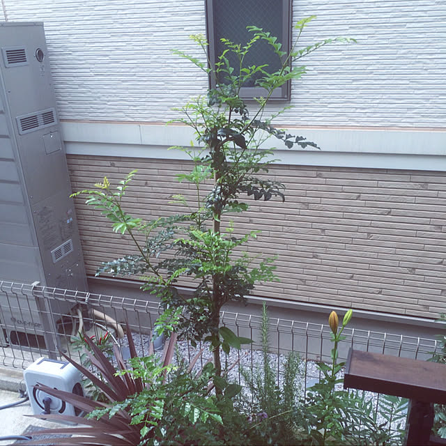 Kanaさんの実例写真