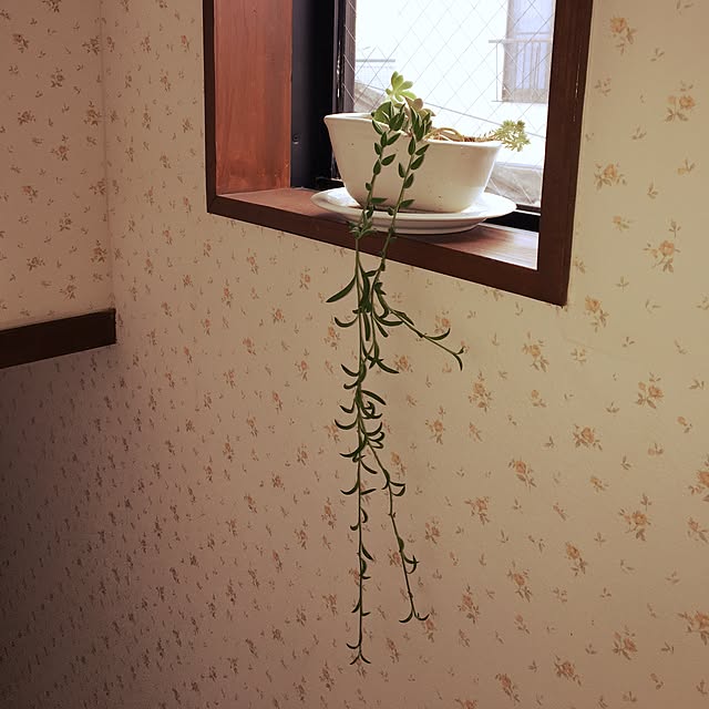 Ayaさんの実例写真