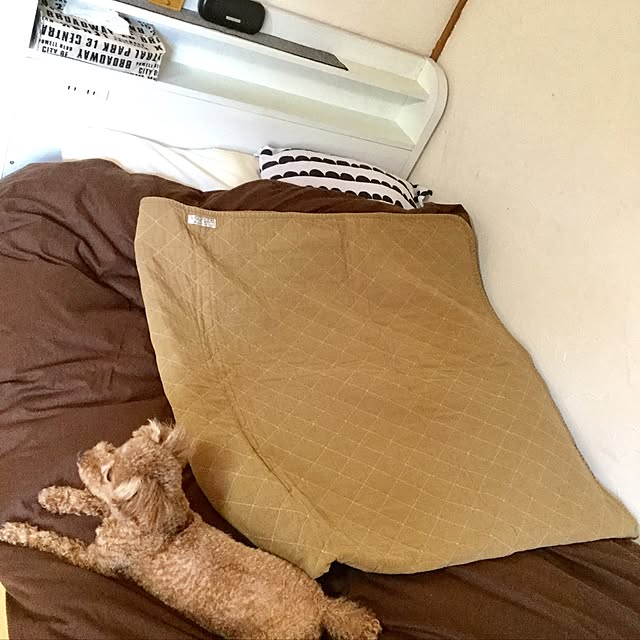 cocomikiさんの実例写真