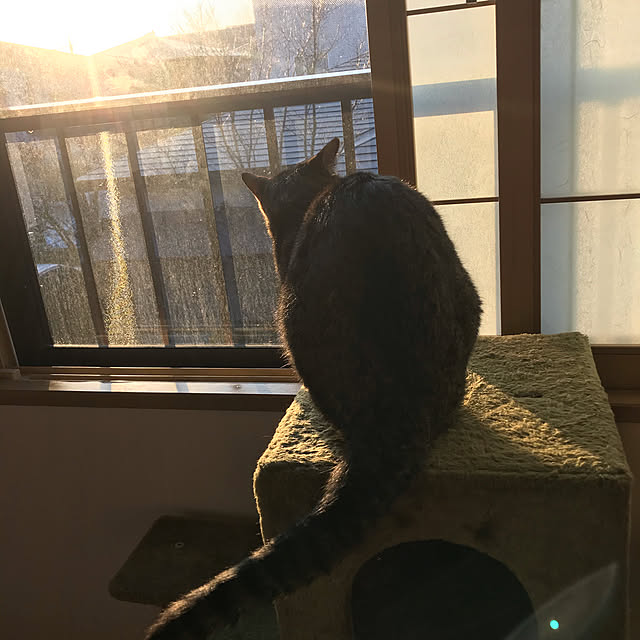 miさんの実例写真