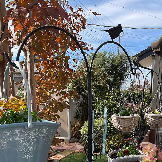 ronronさんの部屋