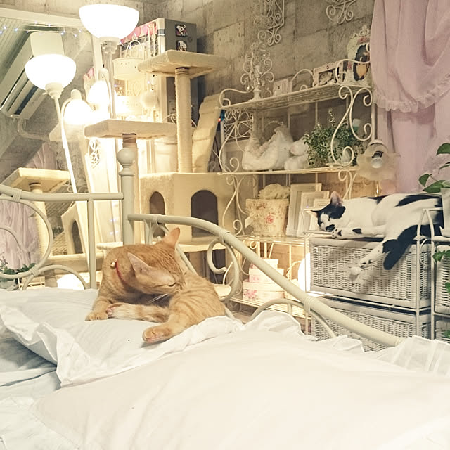 asuminさんの実例写真